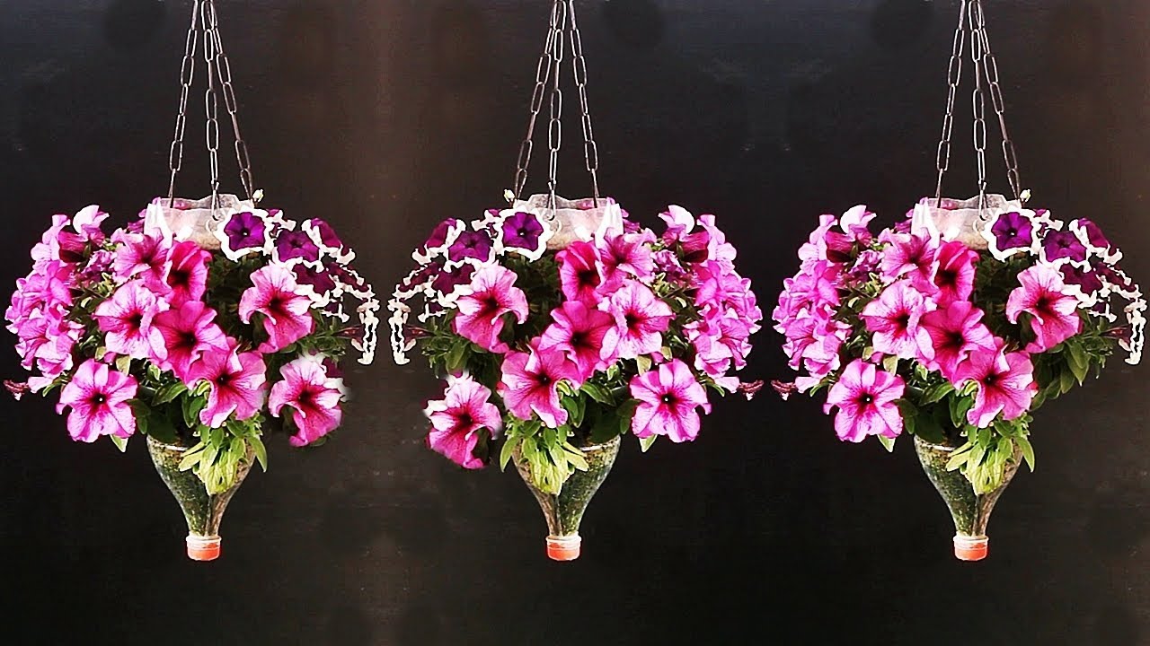 CHEAPEST Petunia Hanging Basket Idea [Even Kids Can Do]