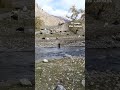 Горный Алтай, река Малый Яломан