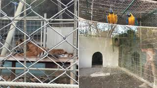 Antalya Hayvanat Bahçesinden Bazı Hayvan Dostlarımızın Resimleri