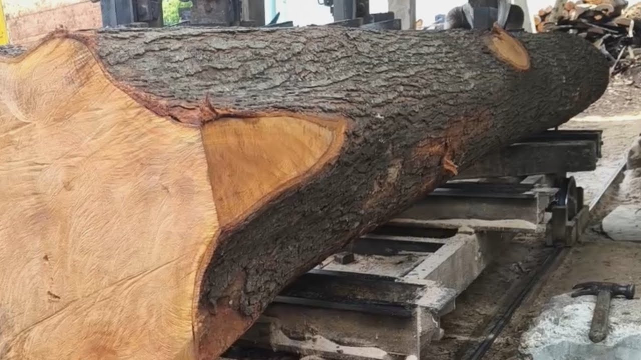 Incredible beauty! Transforming long, large pieces of wood into ...
