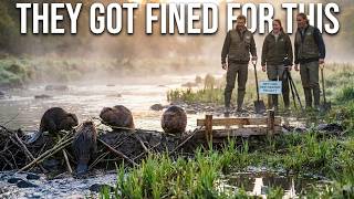 Scientists Tricked Beavers Into Saving a Dying River — Then They Got Fined For It