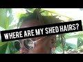 Do Freeform Loc Wearers Shed Hair? | Fine Haired Freeformer