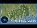 The Dynamic Geography Of The World S Largest River Delta The Dynamic Geography Of The World S Largest River Delta