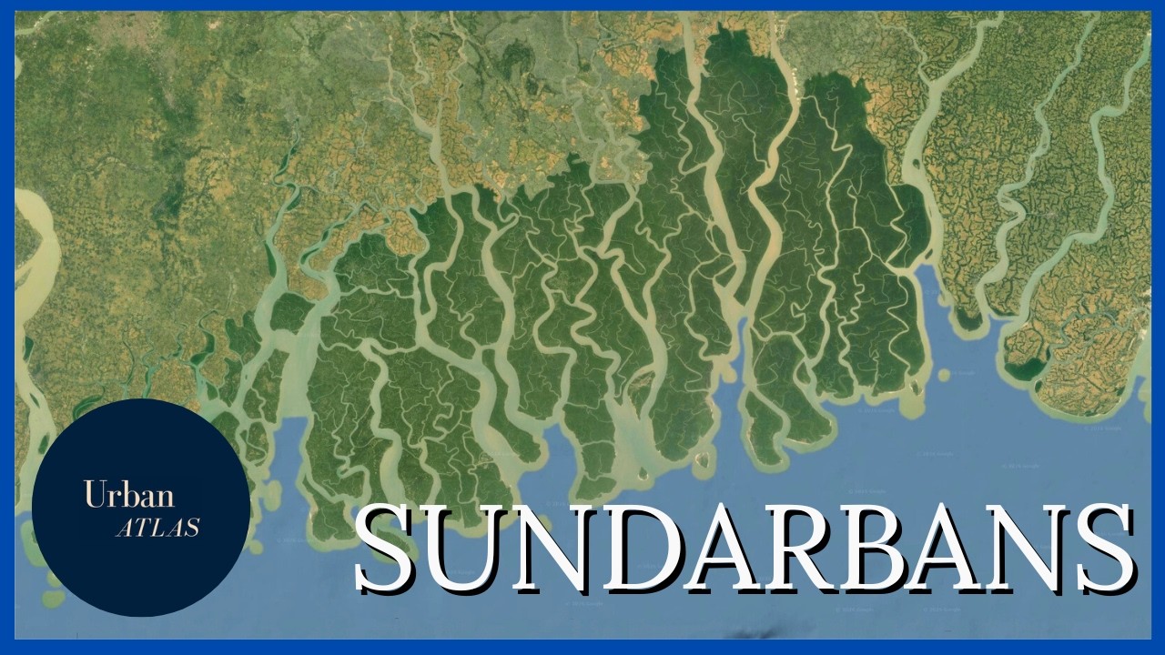 The World's Largest River Delta.