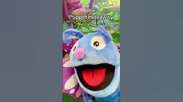 Episode 28 of Tiny Bug Games at The Puppet Hideaway by Eric Thomsen -  Butterflies prepare to race!