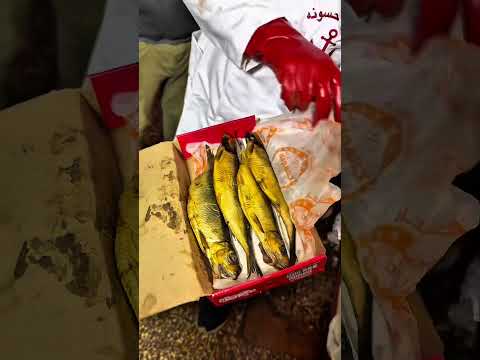 طريقة تصنيع الرنجة من مصنع رنجة البحار في حسونة حباش ام حسن بدمنهور  اكلتك اكسبلور طبخ اكل