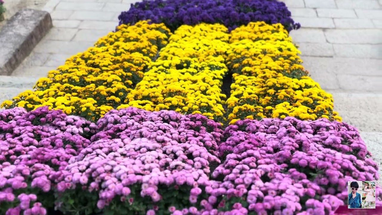 [VLOG] Beopjusa Templeㅣ 대한불교조계종 (Daehan Bulgyo Jogyejong)ㅣ 법주사 (Beopjusa)ㅣ UNESCO World Heritage