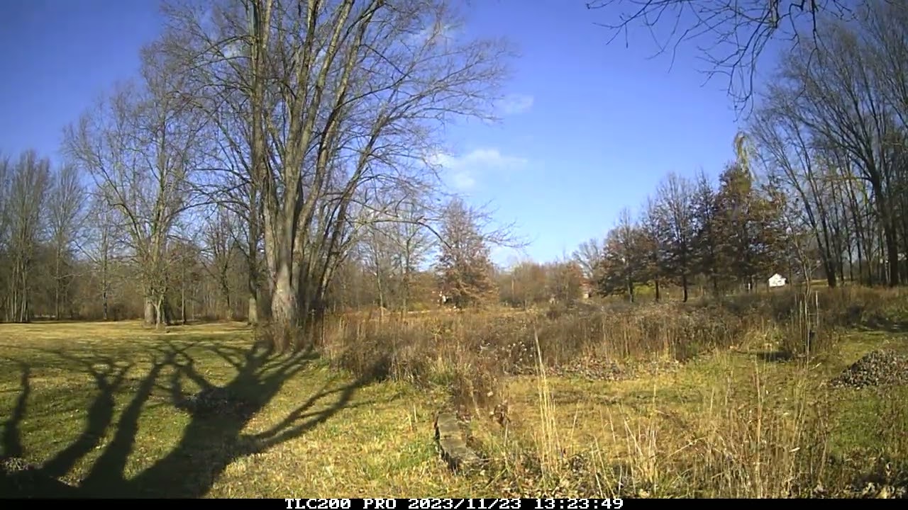 231123 timelapse @ helen's