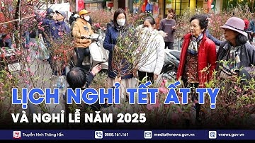 Lịch nghỉ Tết Nguyên đán Ất Tỵ và nghỉ lễ năm 2025 - VNews