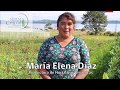 Sello SIPAM Chiloé- Maria Elena Diaz Hortalizas Agroecológicas en Castro