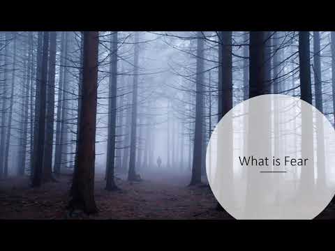 Video: Age Dynamics Of Fears