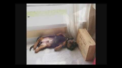 Impact vs Moving Elements - Blame It On The Sun (GMusic Radio Edit)