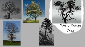 How to Add Callouts to Your Videos