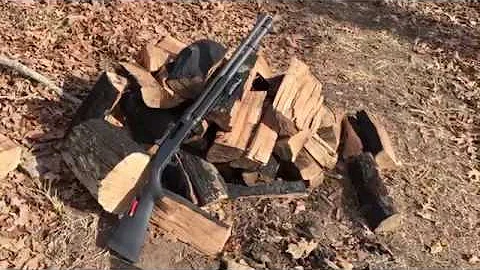 Best Homestead Gun - Shotgun ?