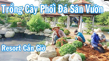 Waterfall & koi pond construction mini resort VietNam |  Thác Nước Hồ Cá Koi - Resort Cần Giờ P1