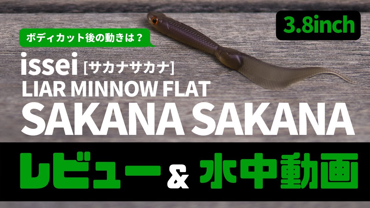 レビュー 水中映像 ケイテック カスタムリーチ 3インチ バス釣り 琵琶湖 Youtube