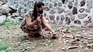 Salsa Camping Tv‼️persiapan masak sayur bayam