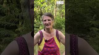 Retrouver un équilibre grâce à la santé naturelle. Interview de Cécile Saint Béat. screenshot 3