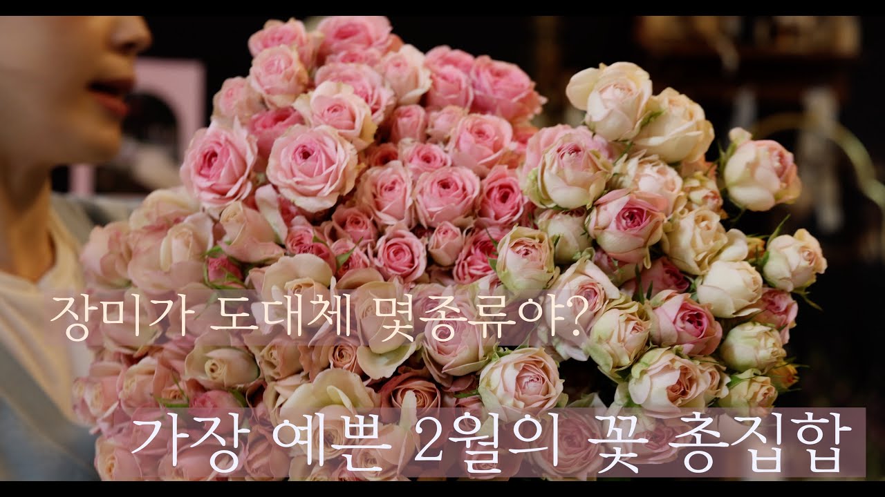플라워레슨 | 예쁨 한도 초과 2월에 예쁜 꽃들 넘치게 채웠어요 | 특별한 꽃다발선물 #florist #bouquet