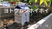 ヨトウムシ対策 最強の米ぬかトラップの作り方と衝撃の結末 低予算 雨天ok 脱出不可能 アブラムシ対策 鳥除け Youtube