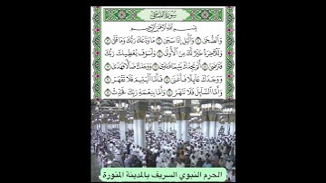 سورة الضحى قراءة الشيخ أحمد بن طالب