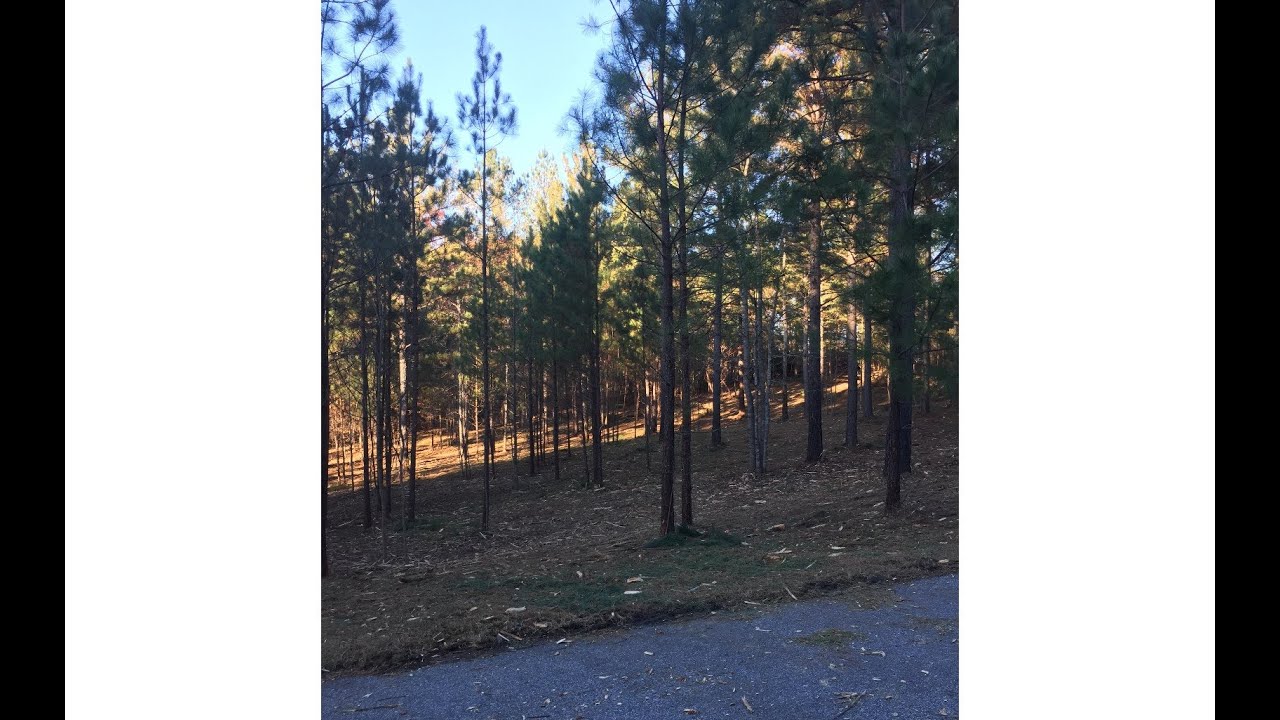 Lots And Land at 47 Loftis Mountain, Blairsville, GA 30512 - For sale