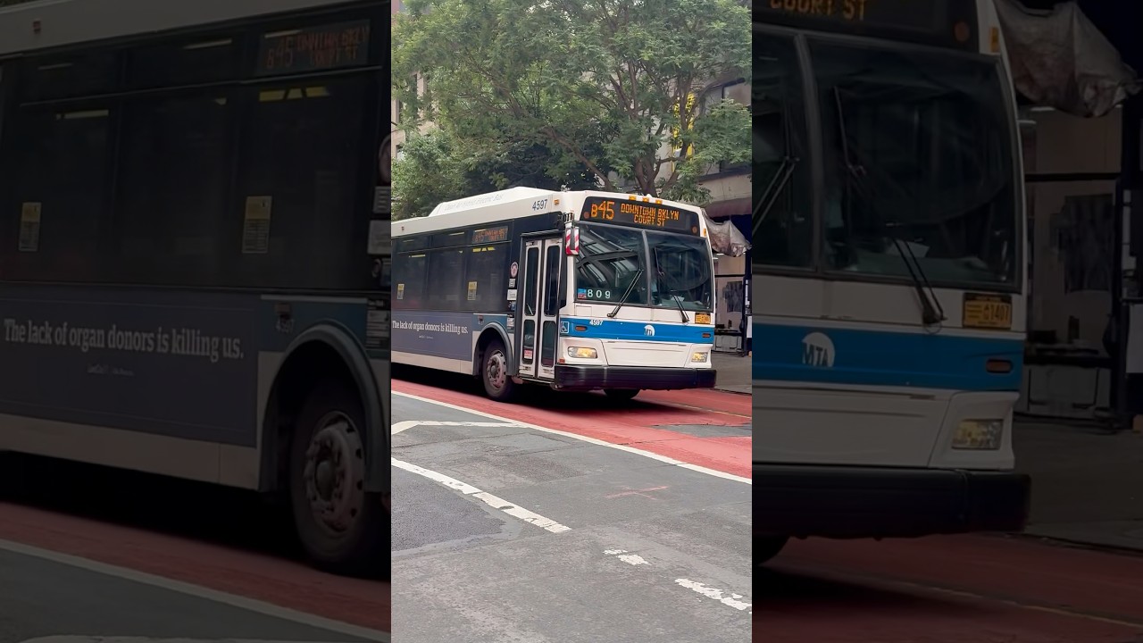 2009 Orion VII NG Hybrid 