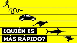 ¿Quién es el ser vivo más rápido del mundo?