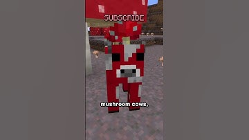 WHAT IS SCORE!?!??!?!