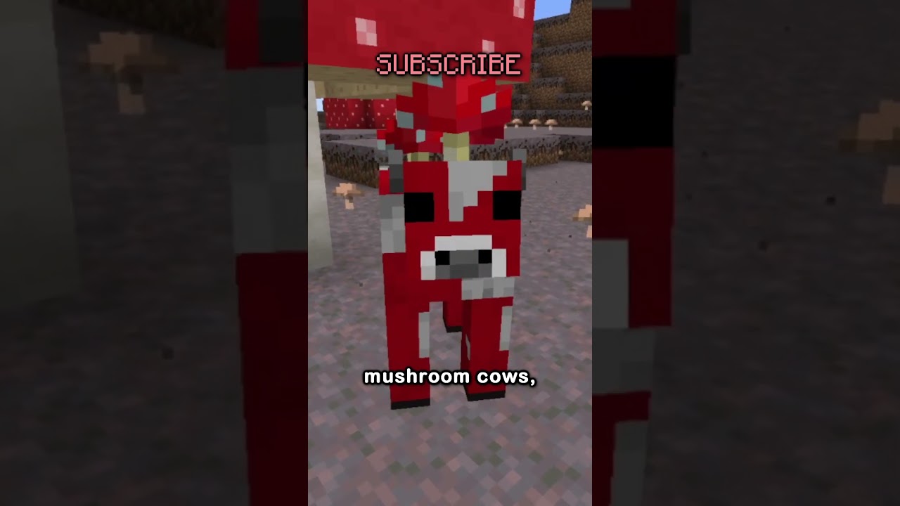 WHAT IS SCORE!?!??!?!