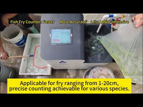 Factory Direct High-Precision 99% Accurate Fish Fry Counter ...