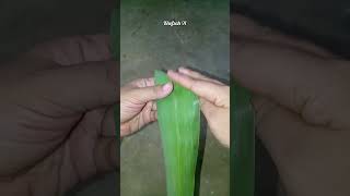 KURANGI PLASTIK ❗Ketupat daun bambu #diy #tutorial #craft