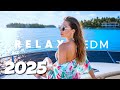 🍹 Summer Deep House Vibes 2025 | Best Chill Vocal Mix for Perfect Summer Vibes 🌞 | Wave Beats