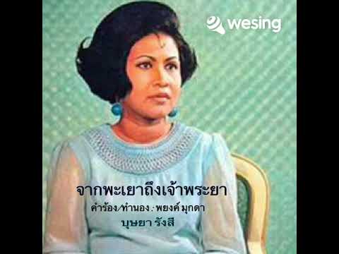 จากพะเยาถึงเจ้าพระยา - บุษยา รังสี covered by pat