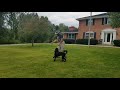 Regal Crest Canines - Professional Dog Training At Affordable Prices Regal Crest Canines - Professional Dog Training At Affordable Prices