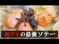 【毒毒毒】離島を散策中に捕獲した毒グモを喰らう