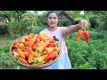 Expecting mum harvest ripe banana pepper for cooking - Ripe banana pepper recipe