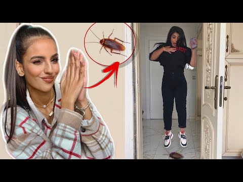 مقلبت زينب ومنصور لمدة 24 ساعة جننتهن وطردوني من البيت