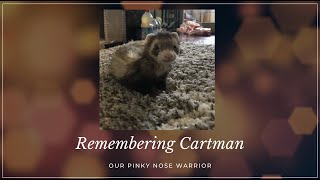Remembering Cartman by Happy Fuel 30 views 3 years ago 9 minutes, 58 seconds