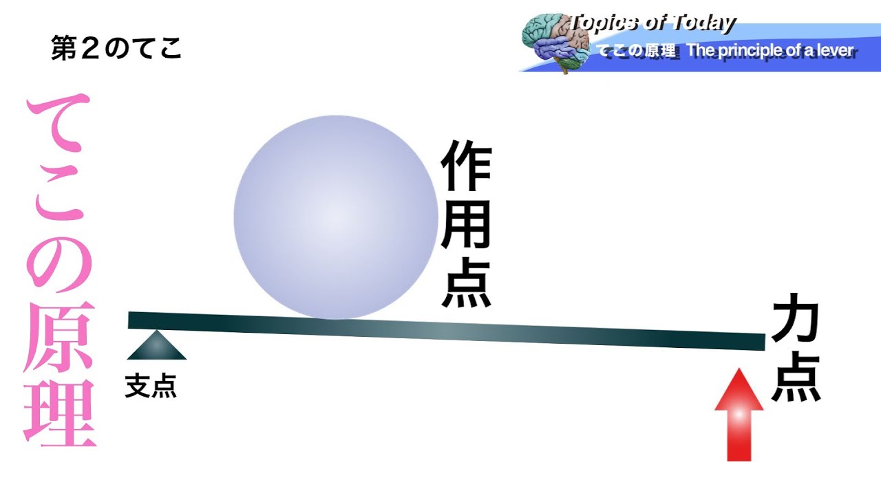 てこの原理 The Principle Of A Lever 理学療法士による身体研究活動 Youtube