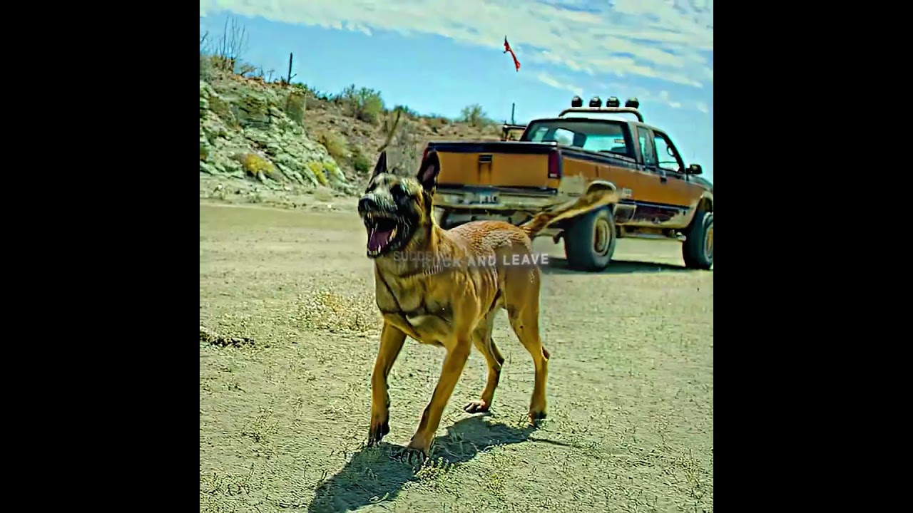 A must see fight movie  