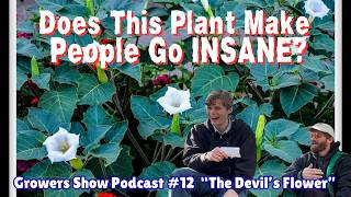 Datura Delirium: Unbelievable Real Stories from Erowid - Growers Show Podcast Episode 12
