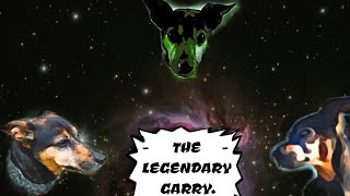 DDDO - The Legendary Garry (Dragonslayer)