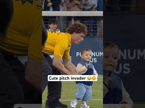 Cute pitch invader just wanted to play too 🥹