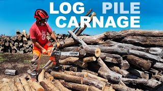 LOG PILE CHAIN SAW CARNAGE! Husqvarna and Echo saws scream!