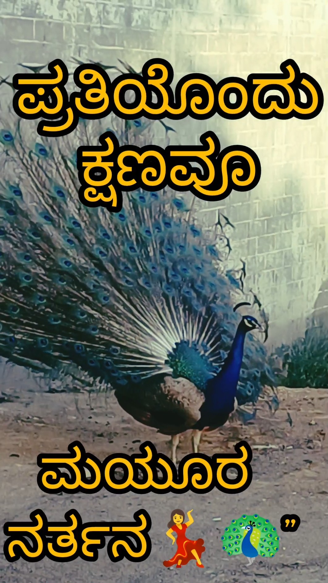 💓 ಪ್ರೀತಿ - ShareChat