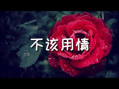 不该用情 - 莫叫姐姐 告別了昨日的愛情 粵語 tiktok rank 排行榜 神曲 2021熱播 抖音
