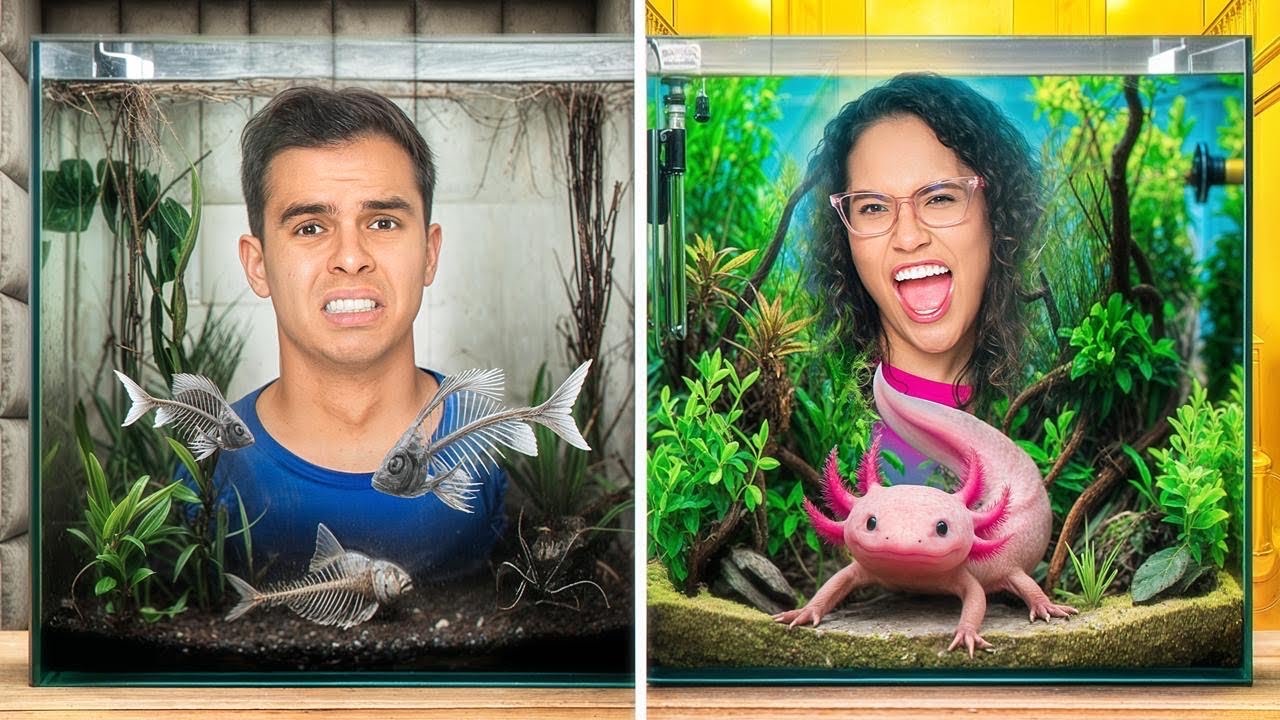 QUEM FIZER O MELHOR AQUÁRIO NA NOVA MANSÃO VENCE – DEU TRETA!