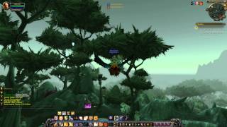 Quest 743: Secrets of the Arakkoa (WoW, human, paladin)