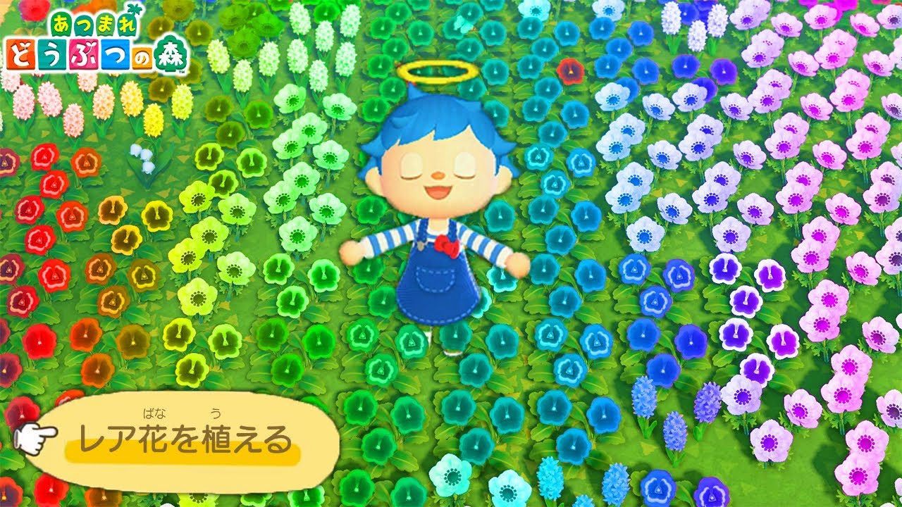 友達の島のしょぼい花をレア花にすり替えたら気づかれるのか あつ森 あつまれどうぶつの森ドッキリ Youtube